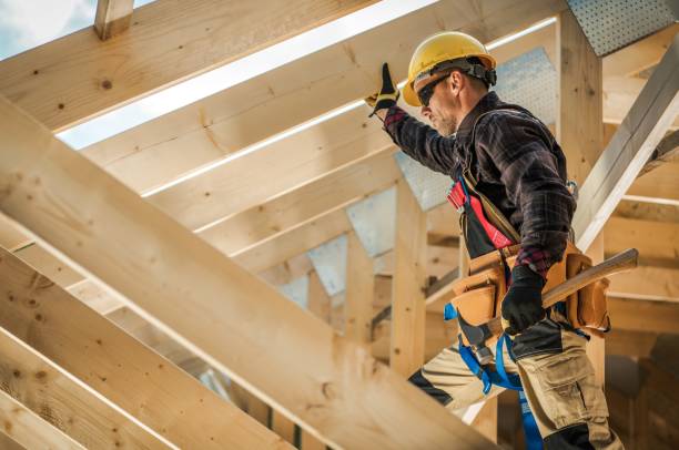 Best Roof Gutter Cleaning  in Carrollton, IL