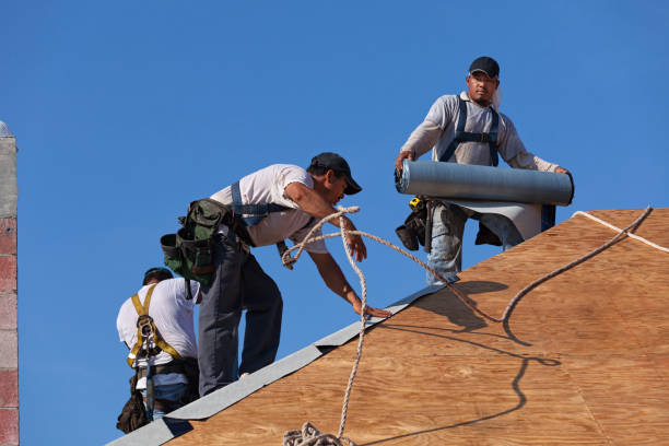 Best Emergency Roof Repair  in Carrollton, IL