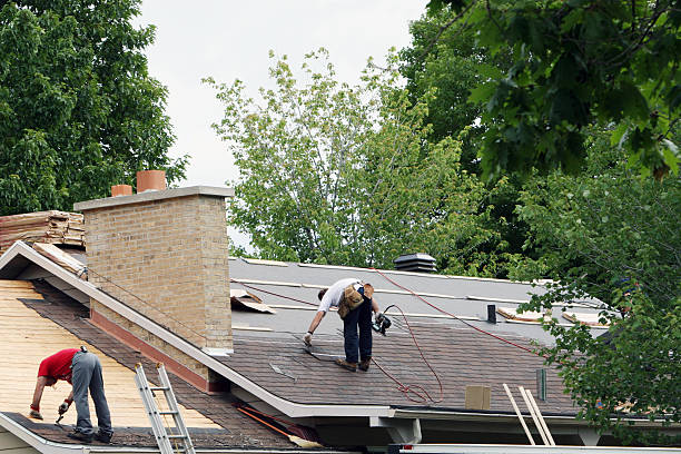 Best Local Roofing Companies  in Carrollton, IL