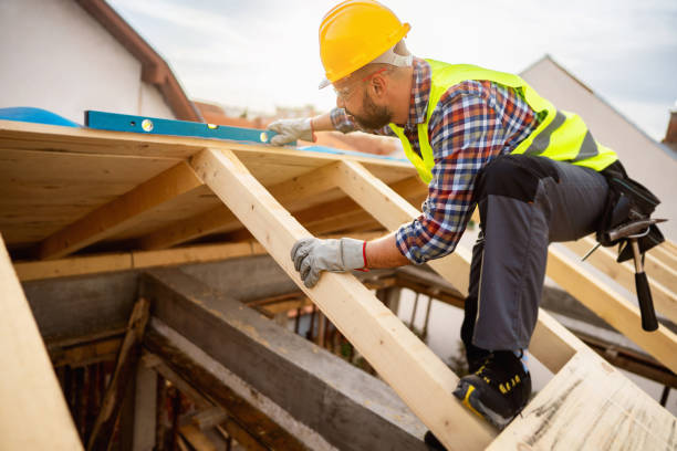 Best Roof Repair Services  in Carrollton, IL