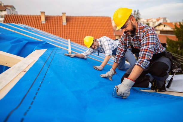 Best Storm Damage Roof Repair  in Carrollton, IL