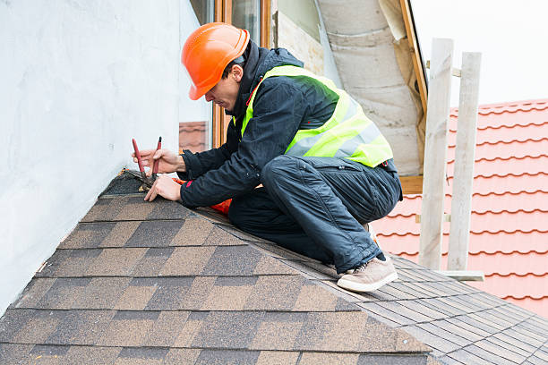 Best Sealant for Roof  in Carrollton, IL