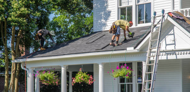 Best Roof Repair Services  in Carrollton, IL